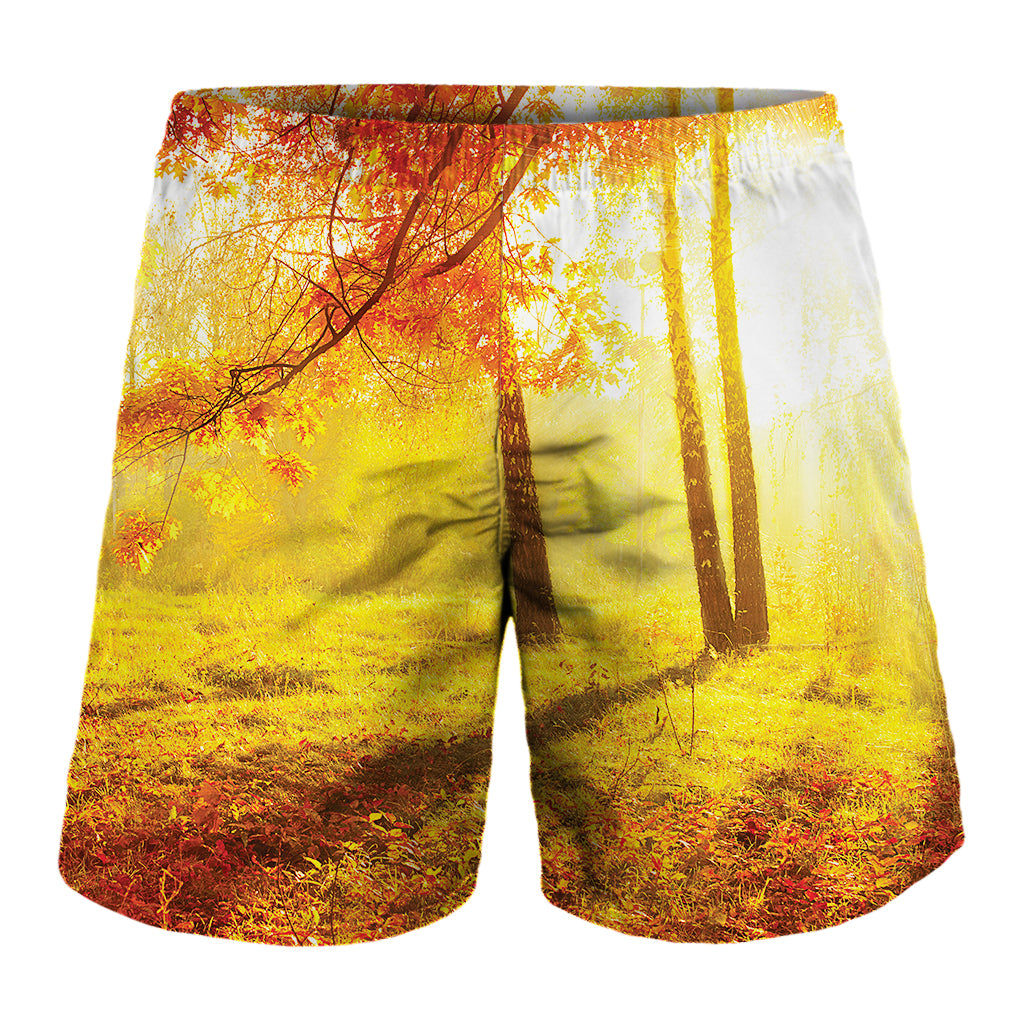 Autumn Trees Print Men's Shorts