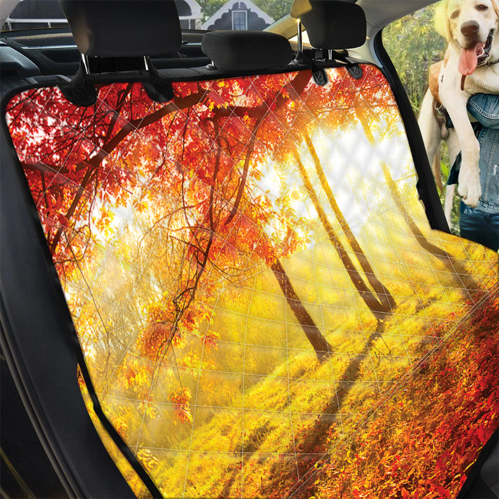 Autumn Trees Print Pet Car Back Seat Cover