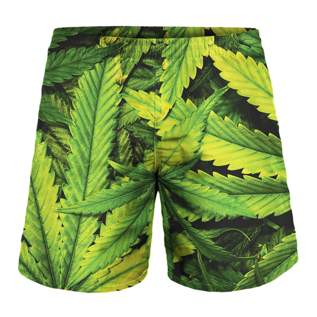 Cannabis Texture Print Men's Shorts