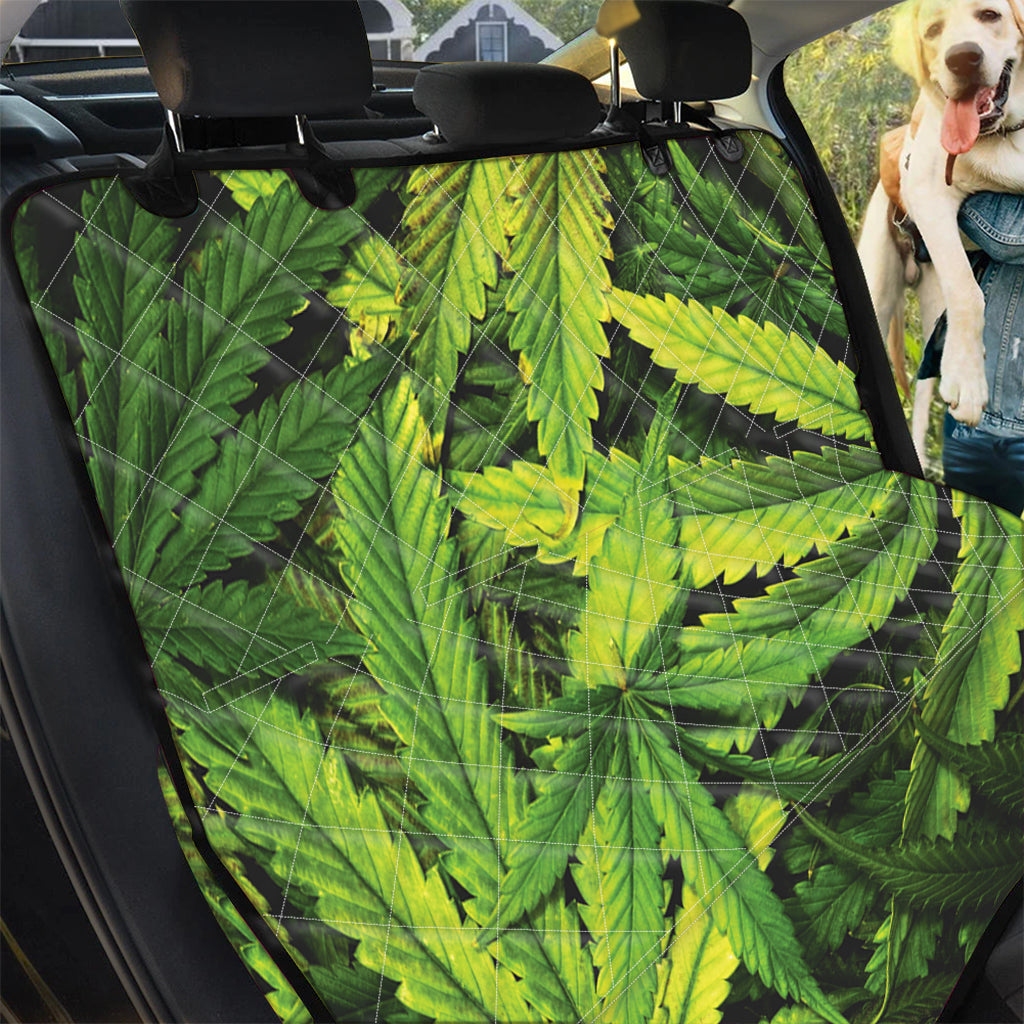 Cannabis Texture Print Pet Car Back Seat Cover