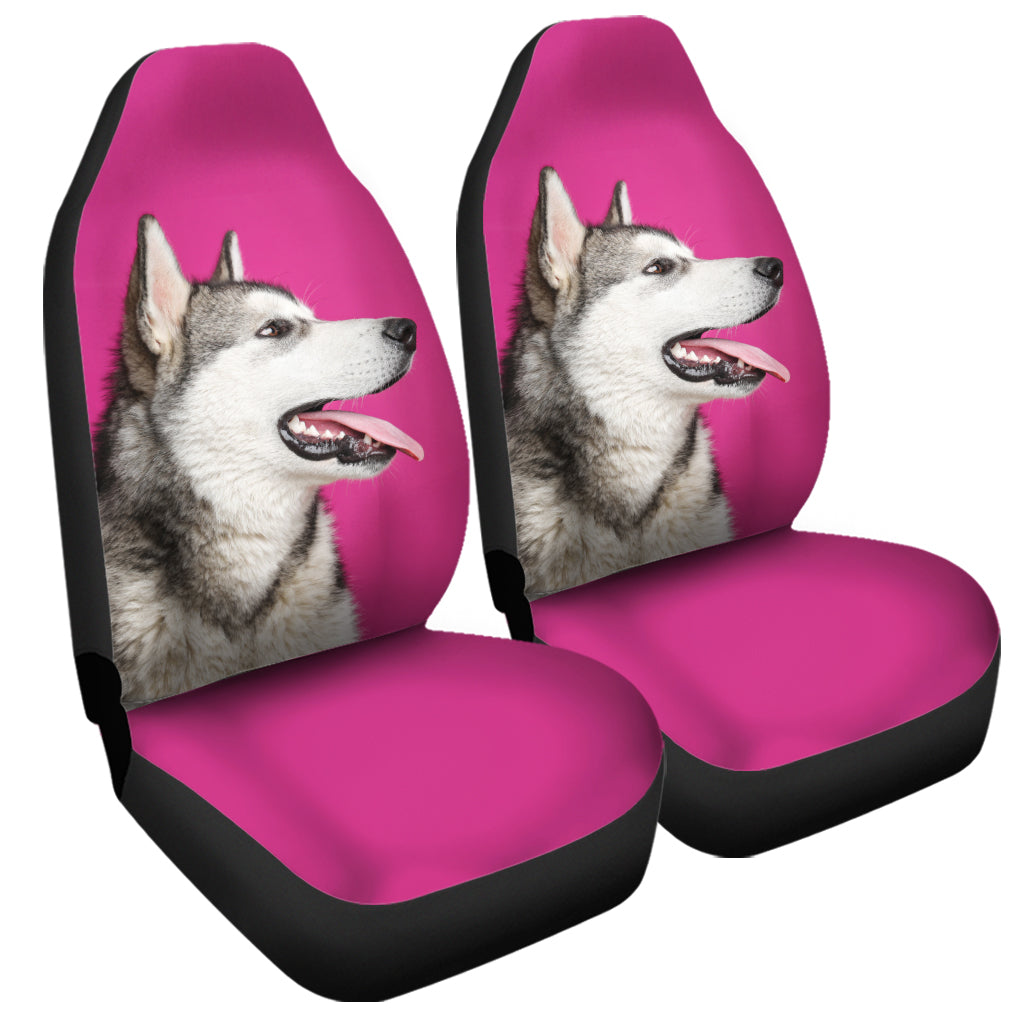 Cute Alaskan Malamute Print Universal Fit Car Seat Covers