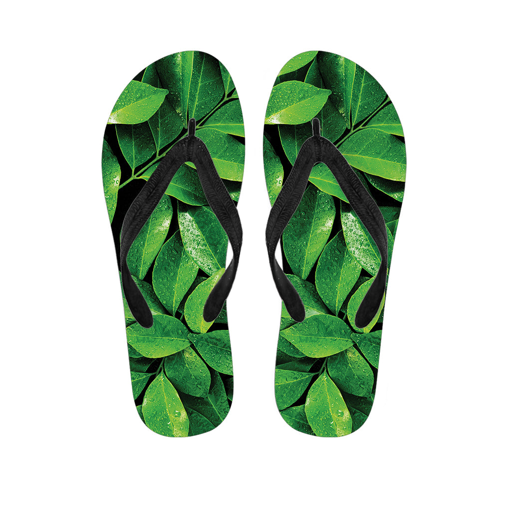 Fresh Green Leaf Print Flip Flops