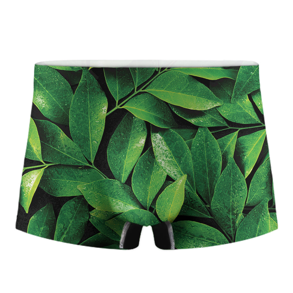 Fresh Green Leaf Print Men's Boxer Briefs