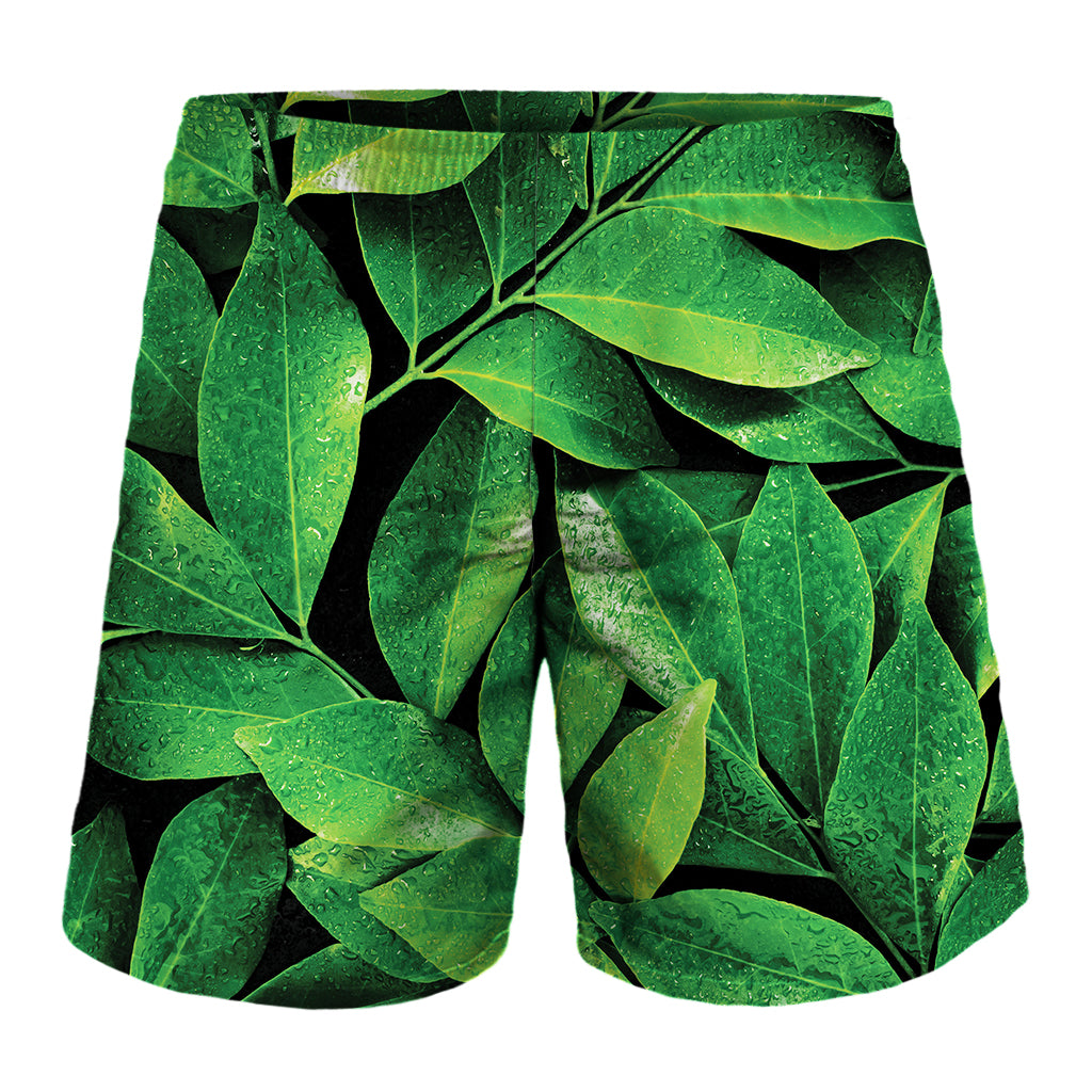 Fresh Green Leaf Print Men's Shorts