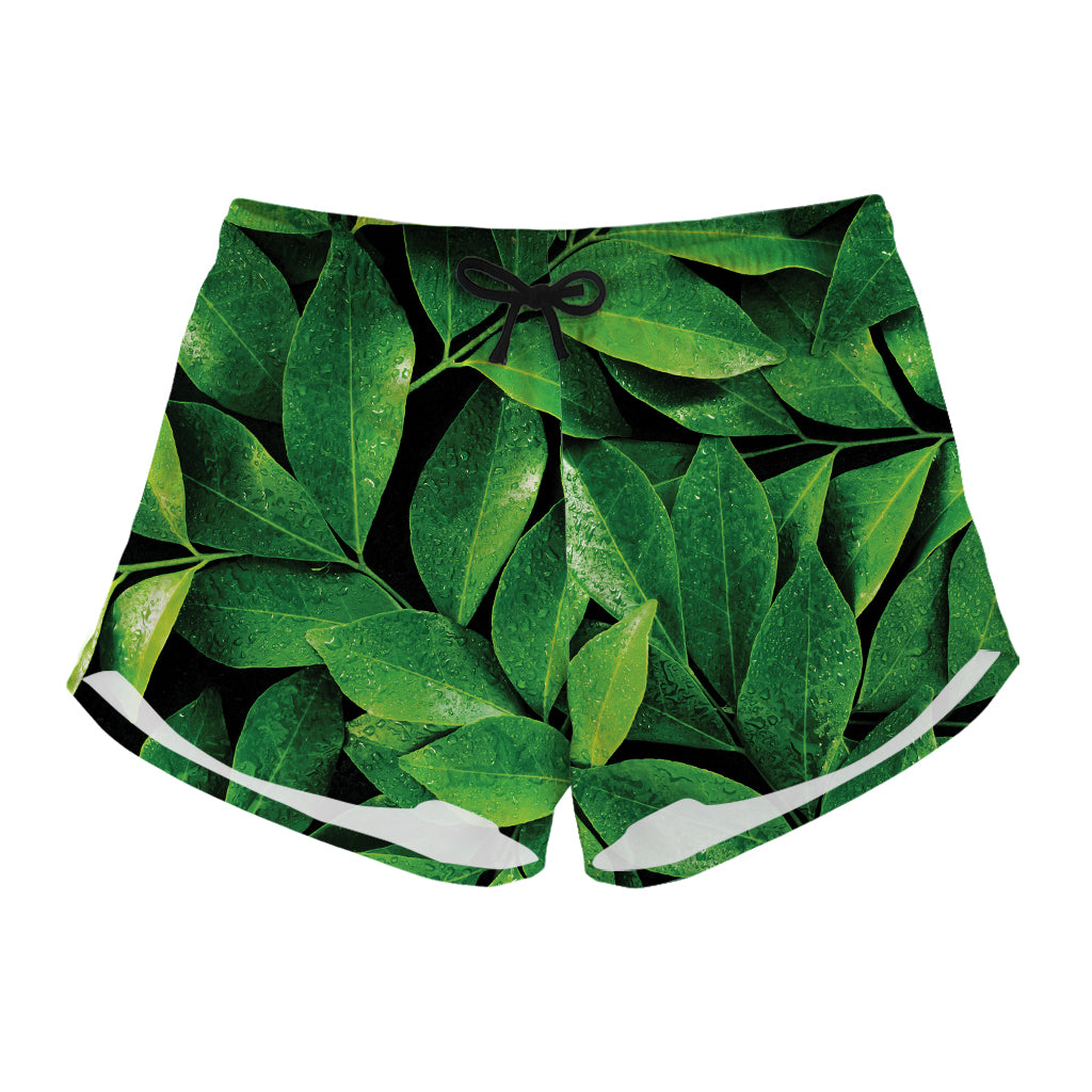 Fresh Green Leaf Print Women's Shorts