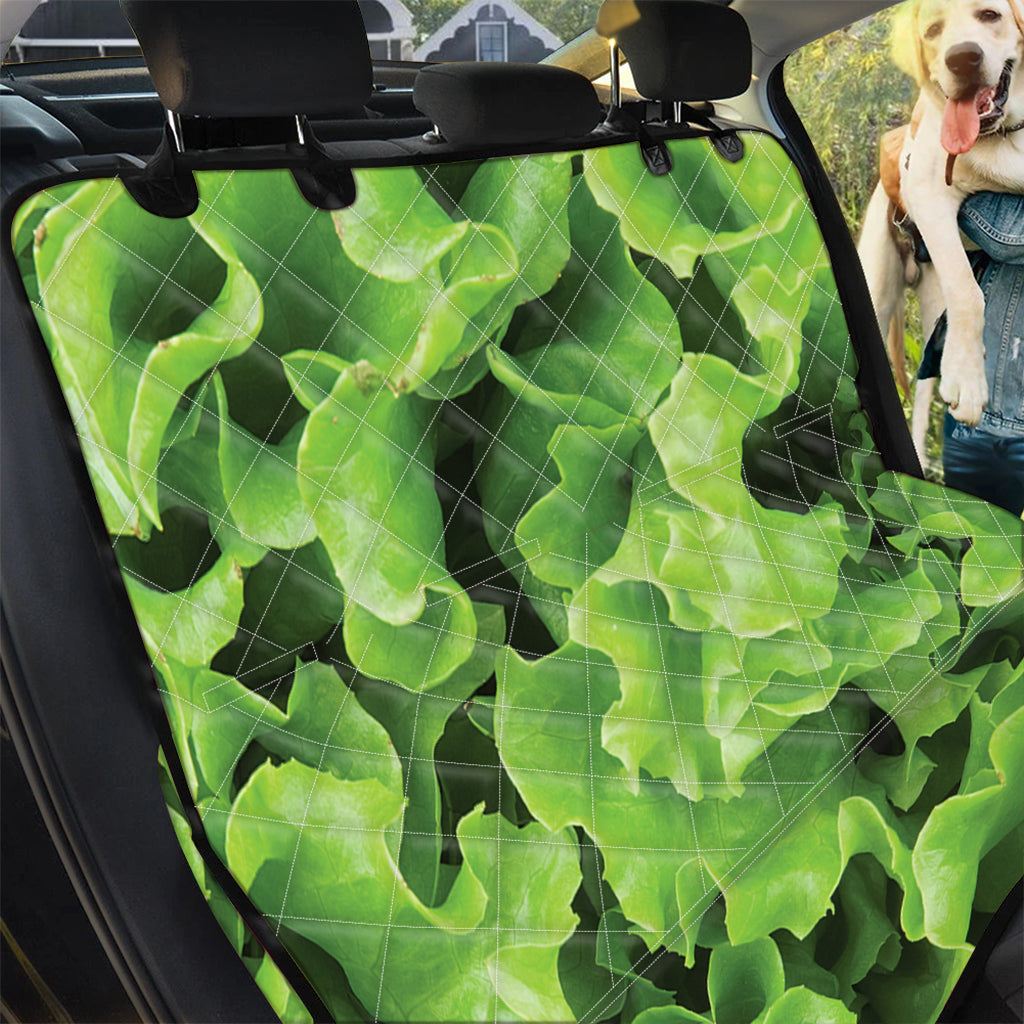 Fresh Lettuce Leaves Print Pet Car Back Seat Cover