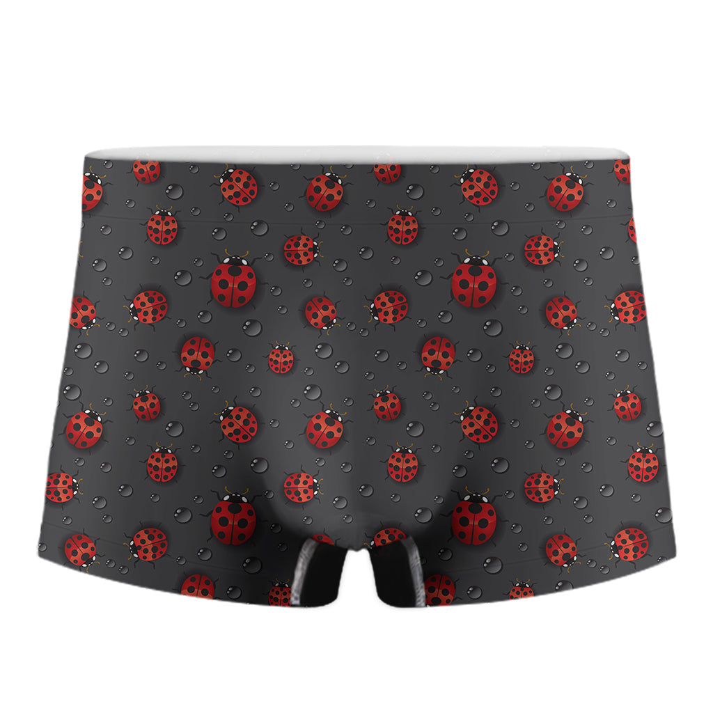 Little Ladybird Pattern Print Men's Boxer Briefs