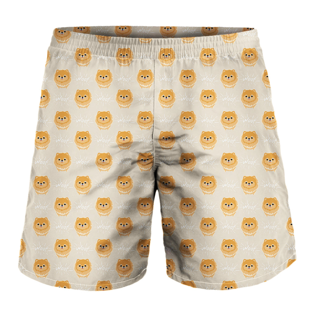 Little Pomeranian Pattern Print Men's Shorts