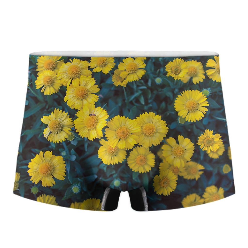 Little Yellow Daisy Print Men's Boxer Briefs