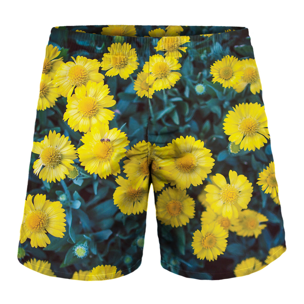 Little Yellow Daisy Print Men's Shorts