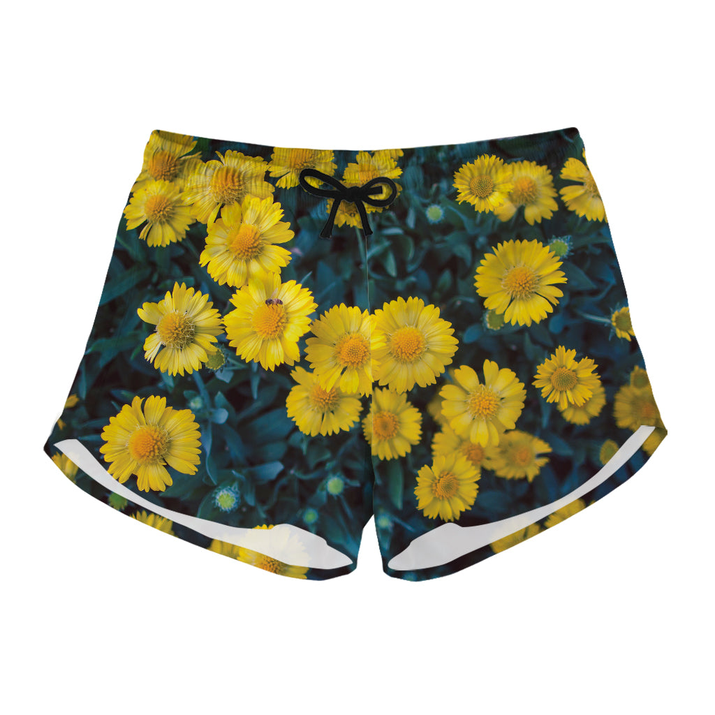 Little Yellow Daisy Print Women's Shorts