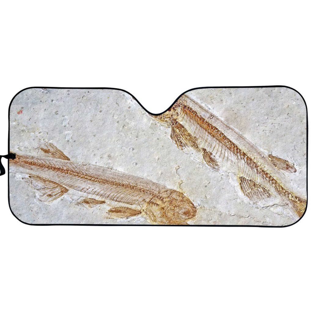 Lycoptera Fish Fossil Print Car Sun Shade