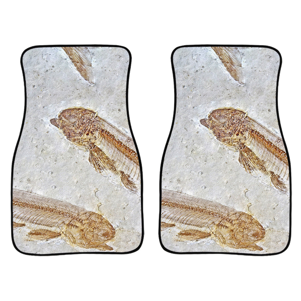 Lycoptera Fish Fossil Print Front Car Floor Mats