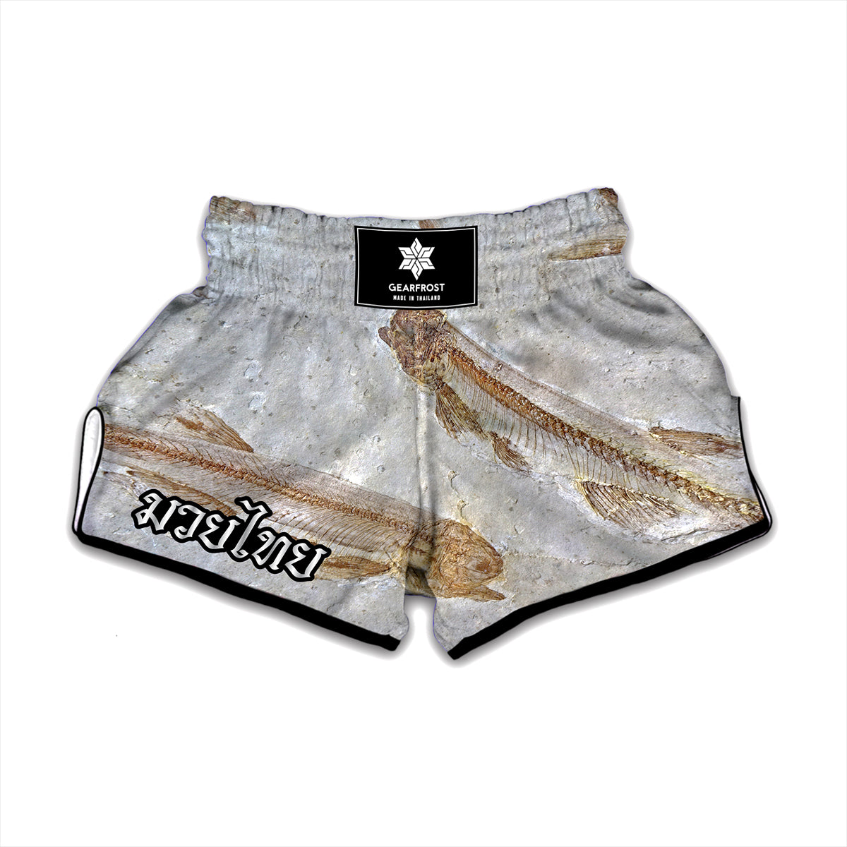 Lycoptera Fish Fossil Print Muay Thai Boxing Shorts