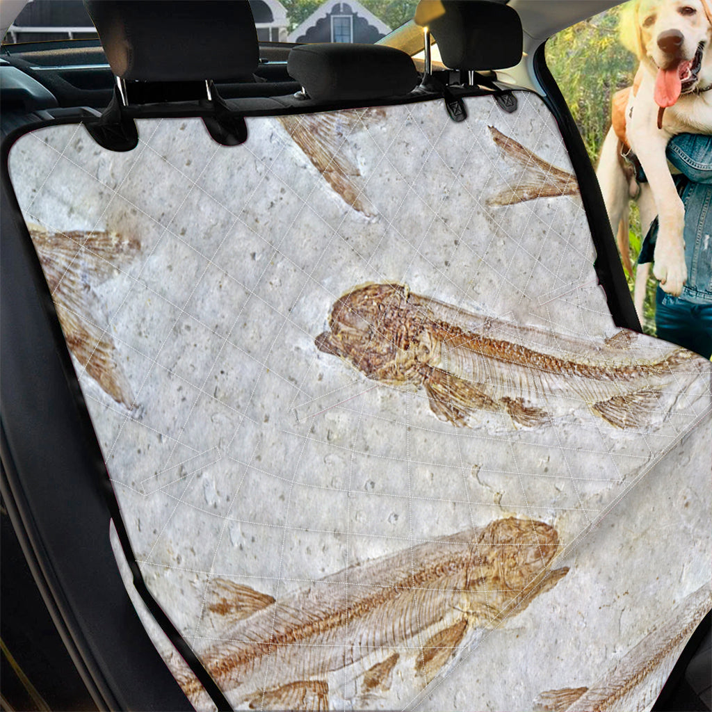 Lycoptera Fish Fossil Print Pet Car Back Seat Cover