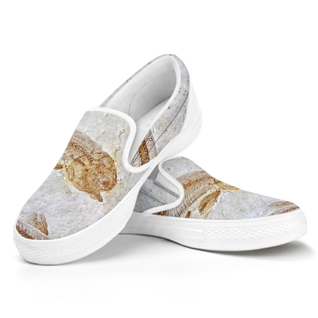 Lycoptera Fish Fossil Print White Slip On Shoes