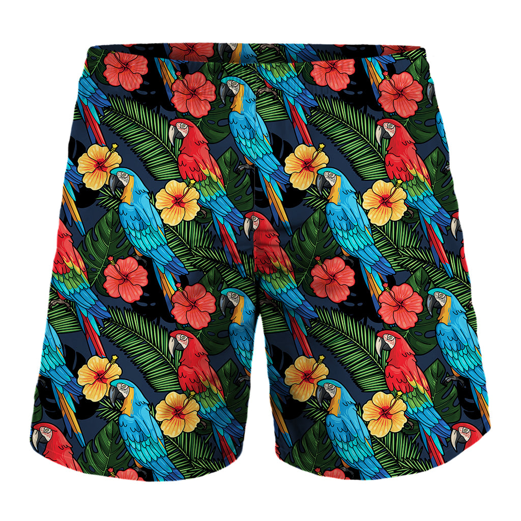 Macaw Parrot Pattern Print Men's Shorts