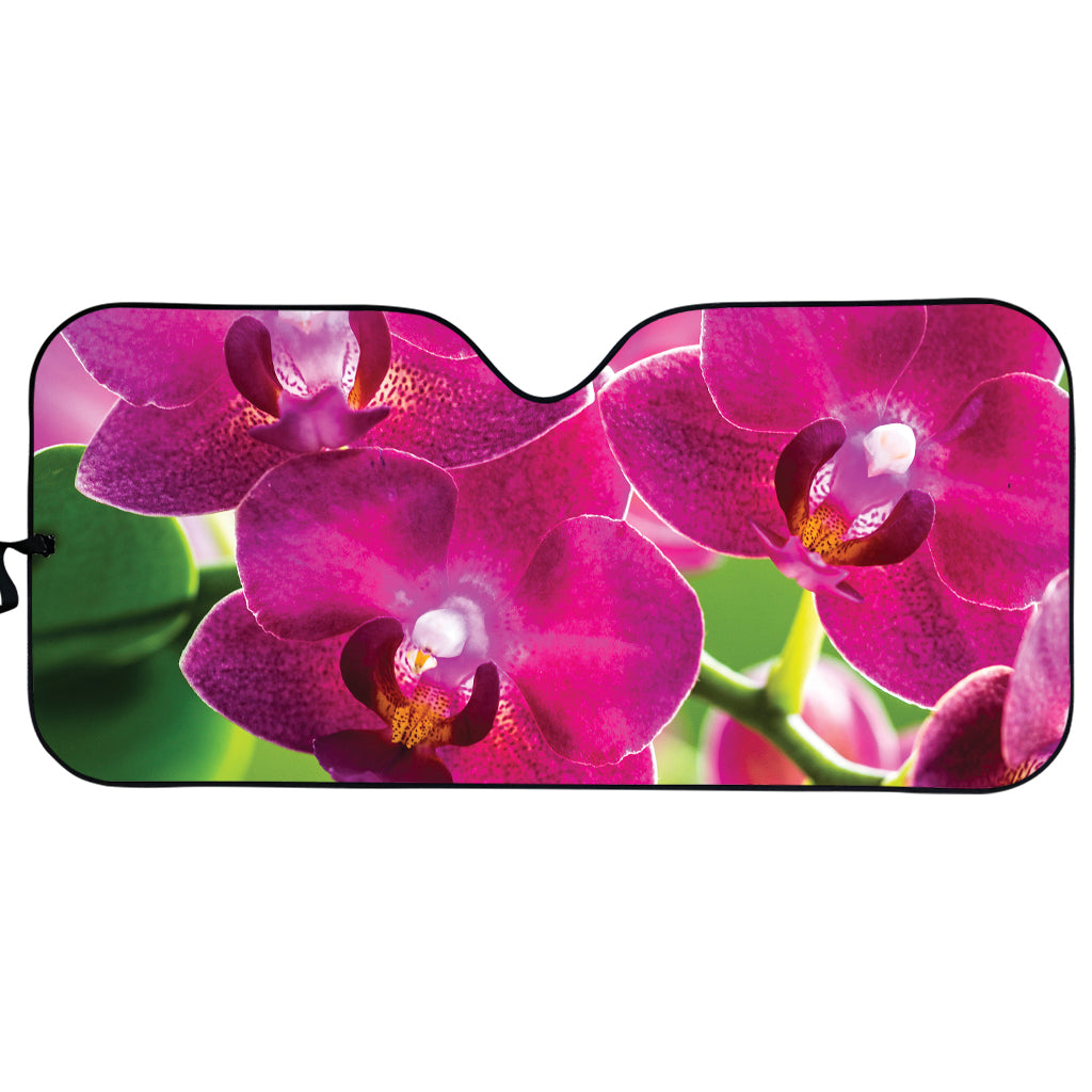 Magenta Orchid Flower Print Car Sun Shade