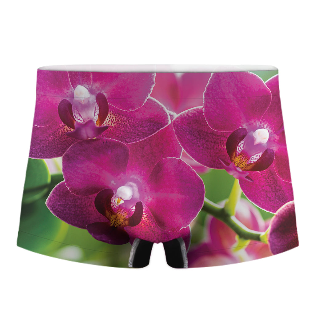 Magenta Orchid Flower Print Men's Boxer Briefs