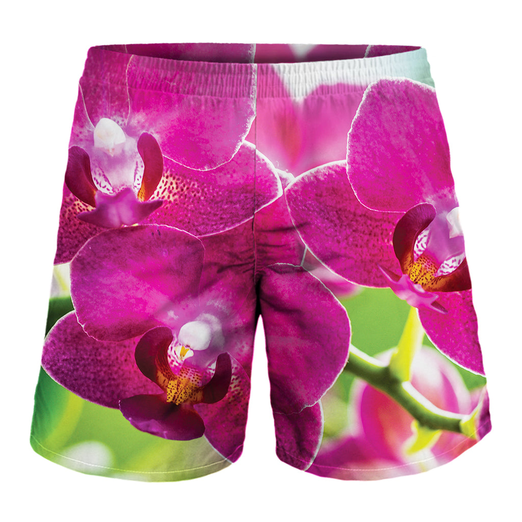 Magenta Orchid Flower Print Men's Shorts