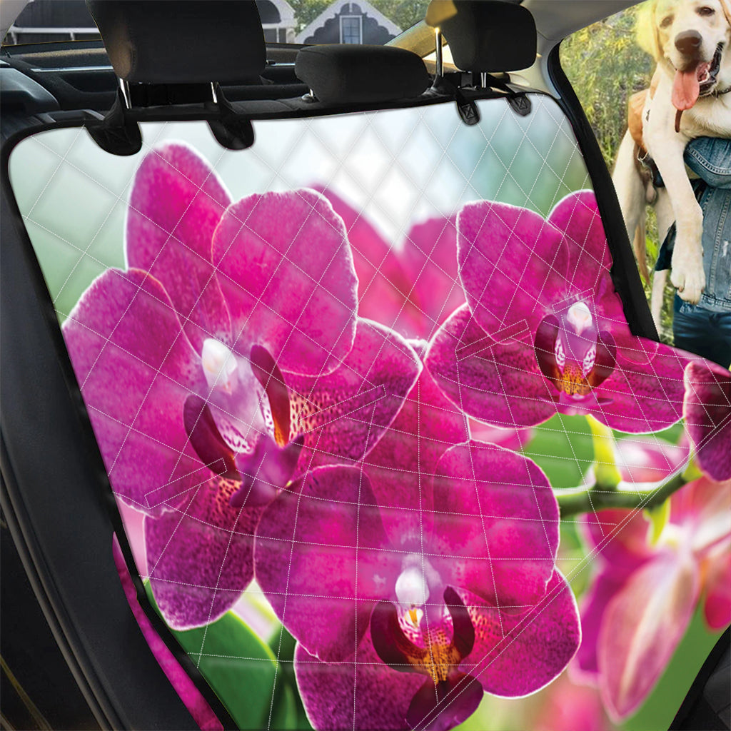 Magenta Orchid Flower Print Pet Car Back Seat Cover