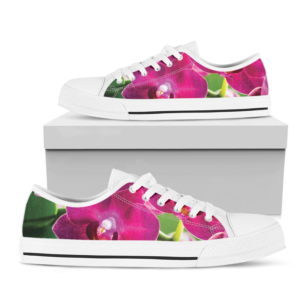 Magenta Orchid Flower Print White Low Top Shoes