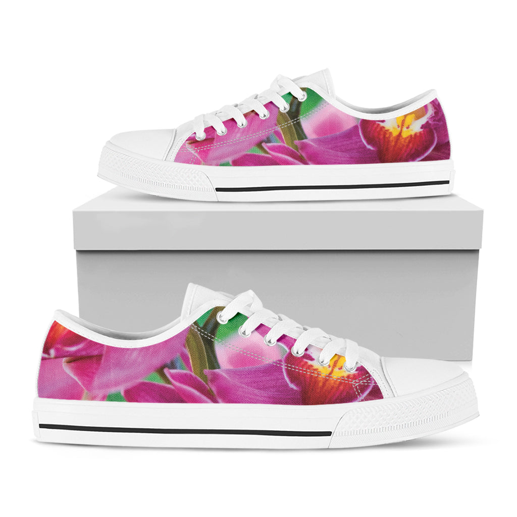 Pink Orchid Flower Print White Low Top Shoes