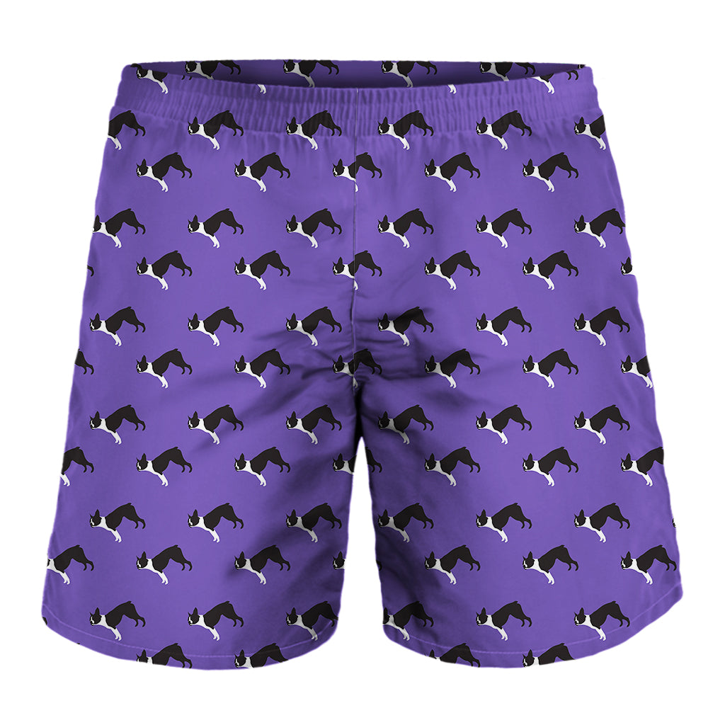 Purple Boston Terrier Pattern Print Men's Shorts