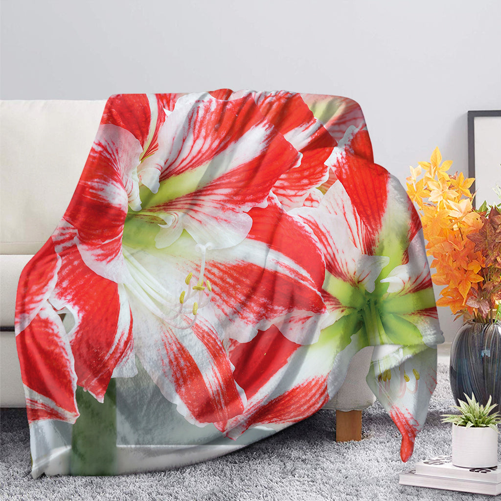 Red And White Amaryllis Print Blanket