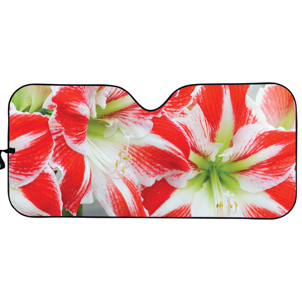 Red And White Amaryllis Print Car Sun Shade