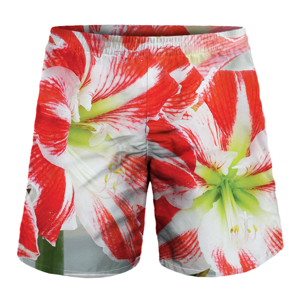 Red And White Amaryllis Print Men's Shorts