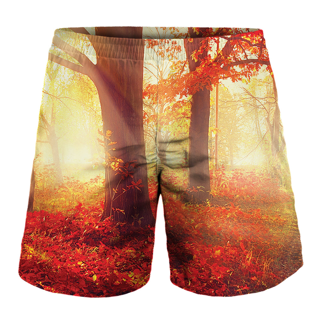 Sunshine Autumn Tree Print Men's Shorts