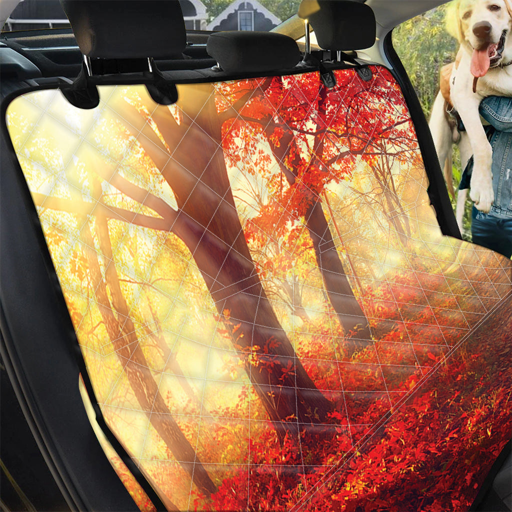 Sunshine Autumn Tree Print Pet Car Back Seat Cover