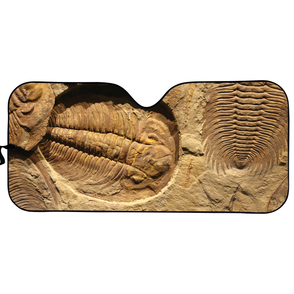 Trilobite Fossil Print Car Sun Shade