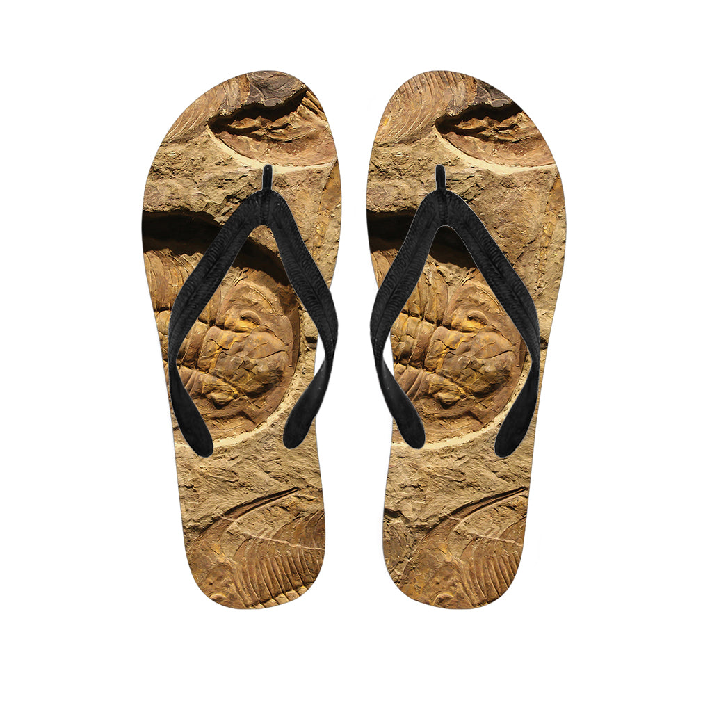 Trilobite Fossil Print Flip Flops