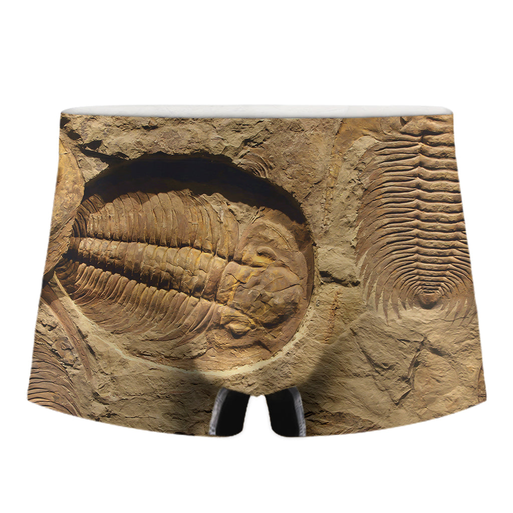 Trilobite Fossil Print Men's Boxer Briefs