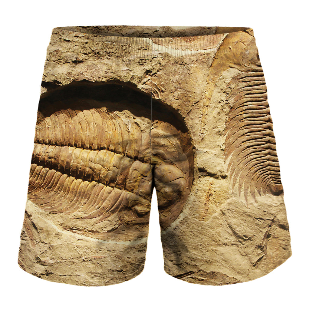 Trilobite Fossil Print Men's Shorts