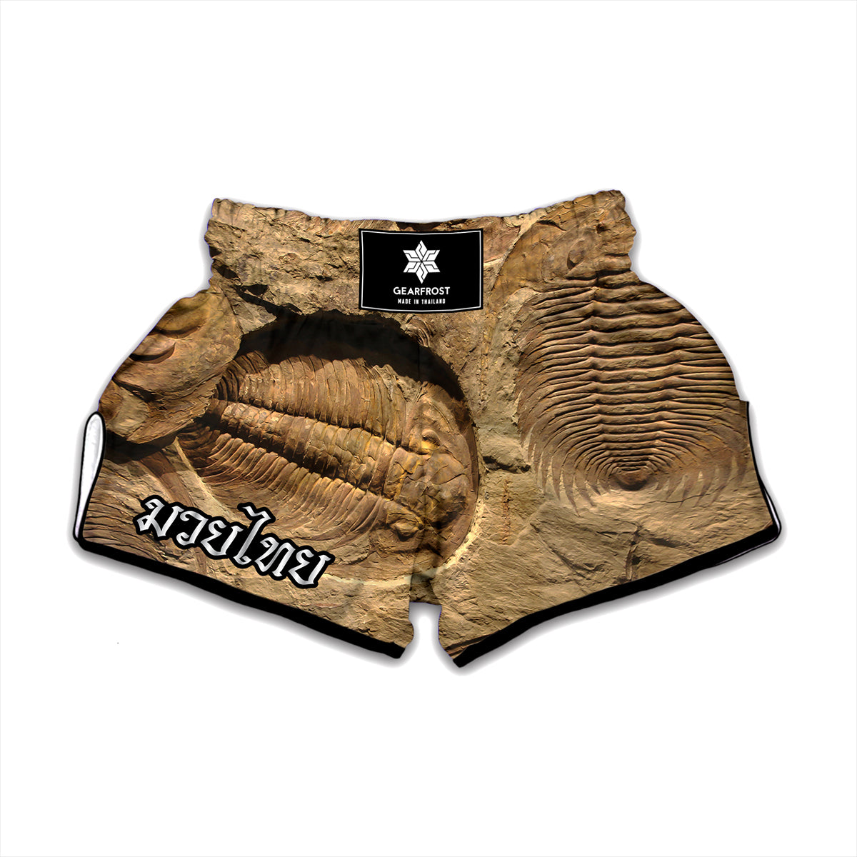 Trilobite Fossil Print Muay Thai Boxing Shorts