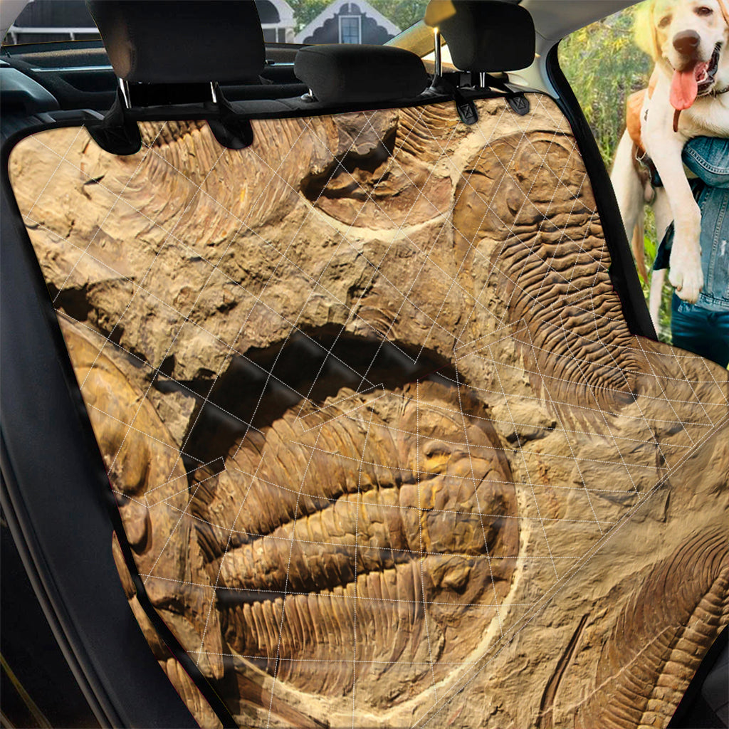 Trilobite Fossil Print Pet Car Back Seat Cover