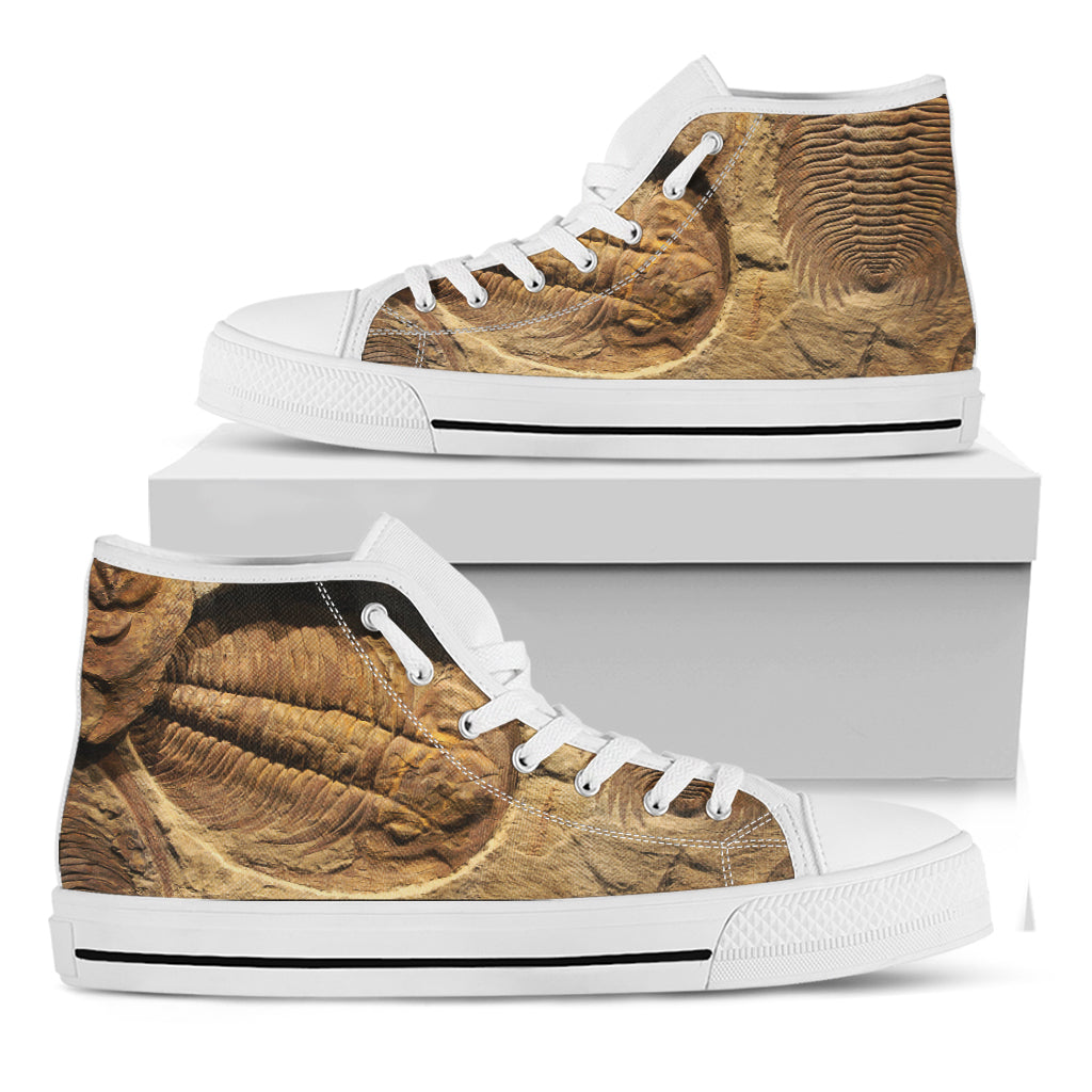 Trilobite Fossil Print White High Top Shoes