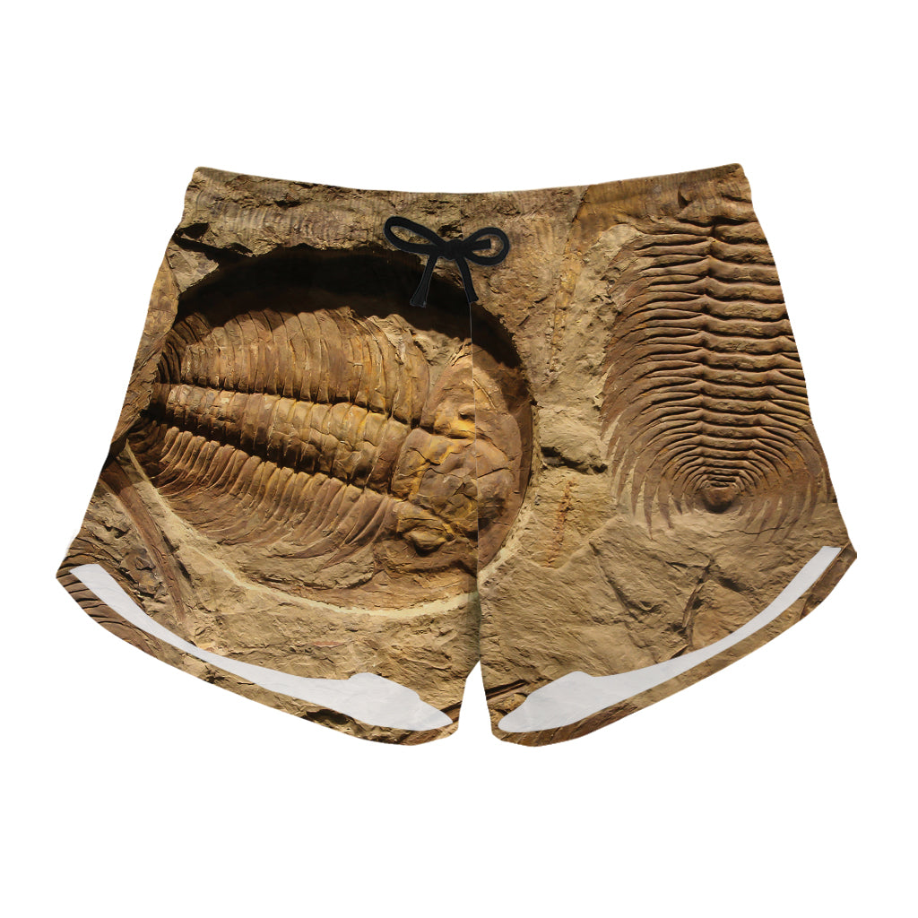 Trilobite Fossil Print Women's Shorts