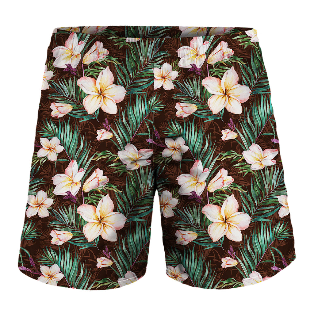 Tropical Frangipani Flower Print Men's Shorts