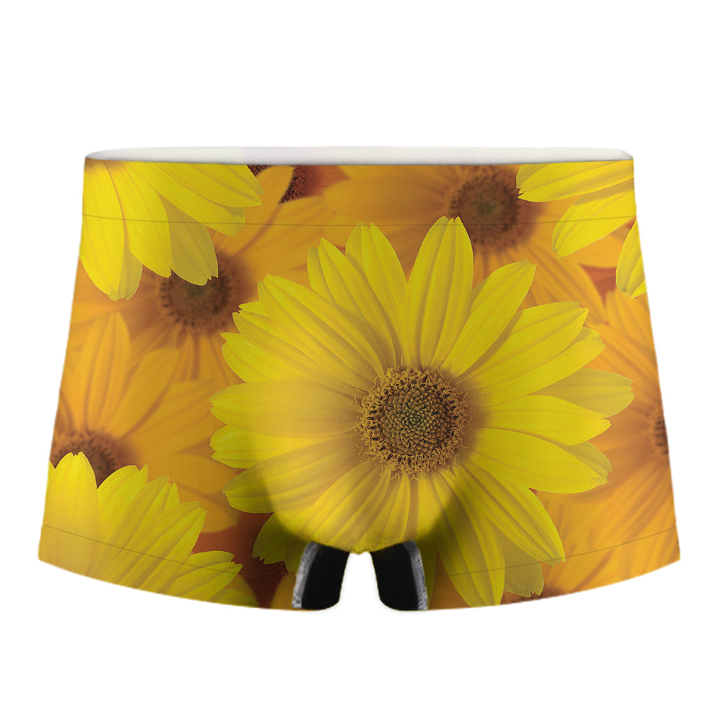 Yellow Daisy Flower Print Men's Boxer Briefs