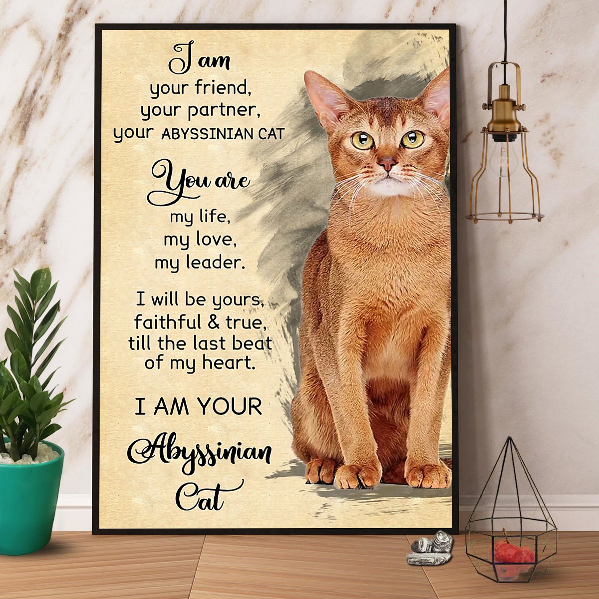 Abyssinian Cat I Am Your Friend Your Partner Satin Poster Portrait No Frame