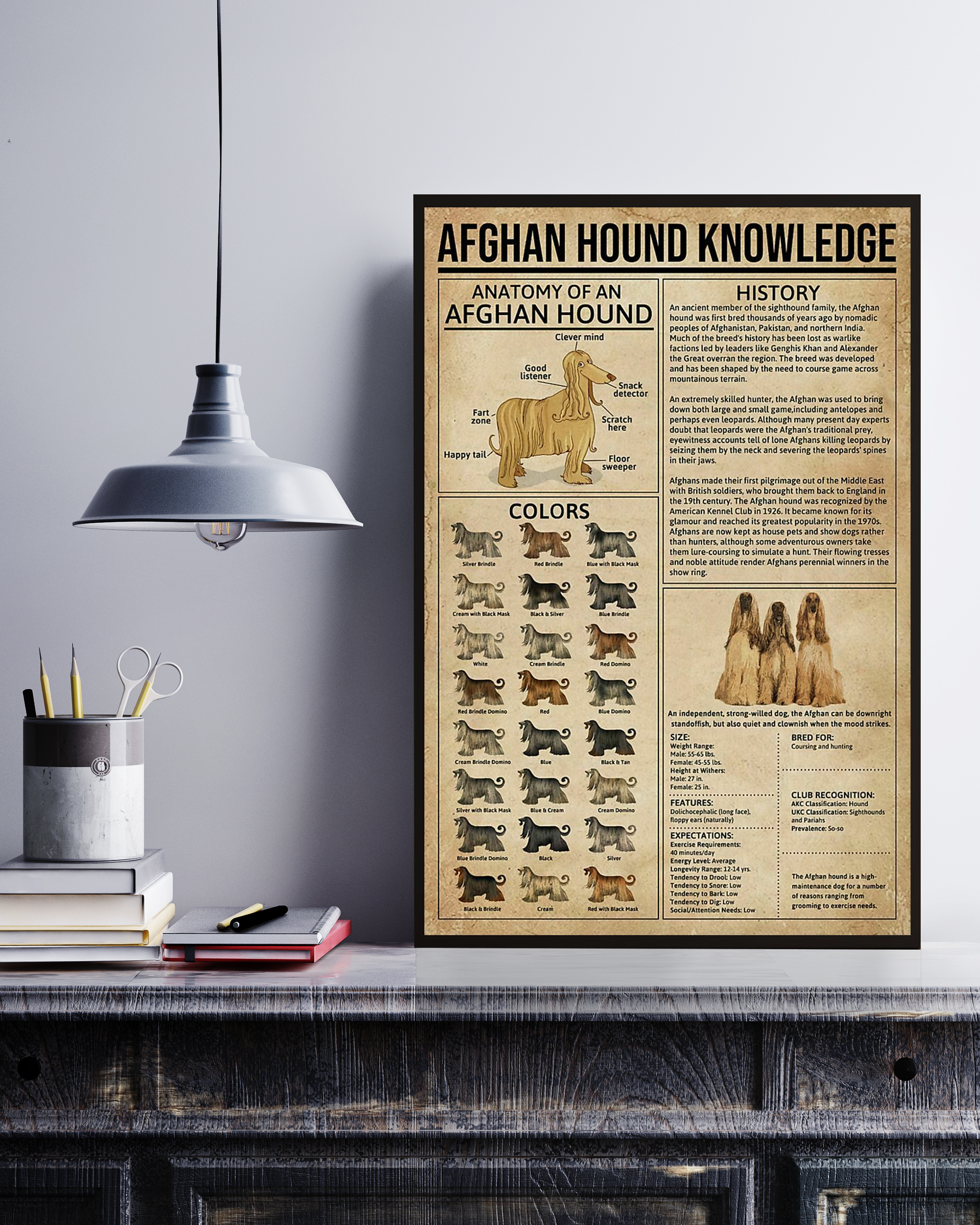 Afghan Hound Poster Portrait Knowledge Poster No Frame