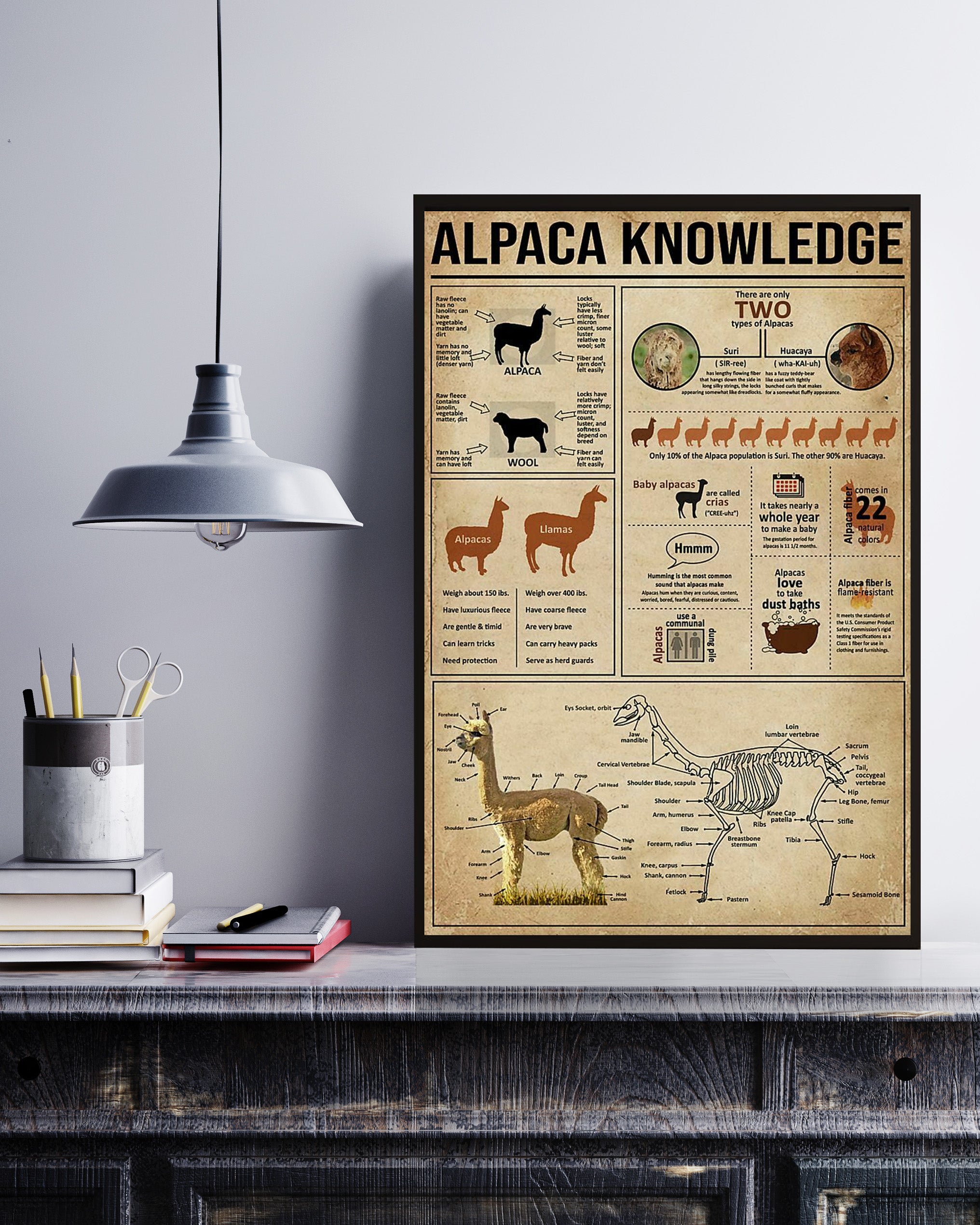 Alpaca Knowledge Poster No Frame