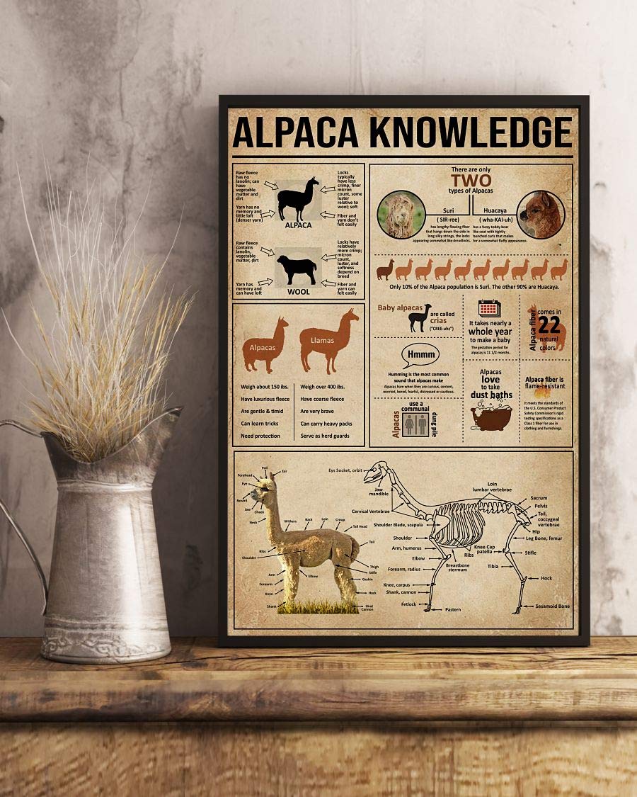 Alpaca Knowledge Satin Poster Portrait no Frame