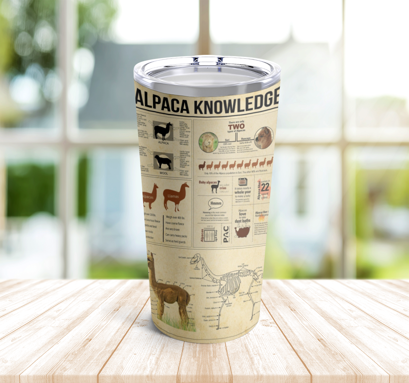 Alpaca Knowledge Tumbler Stainless Steel 20oz