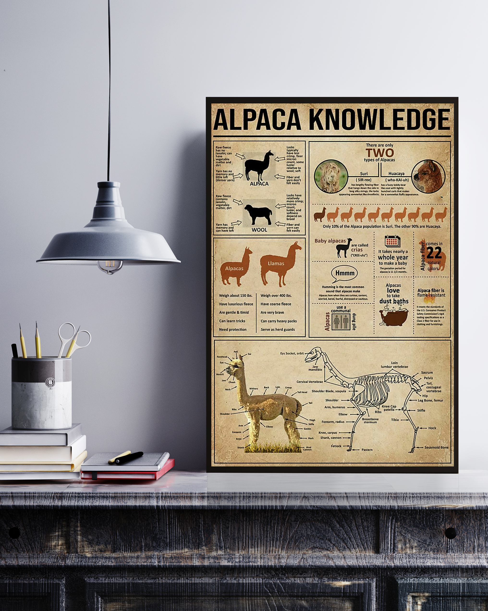 Alpaca Poster Portrait Knowledge Poster No Frame