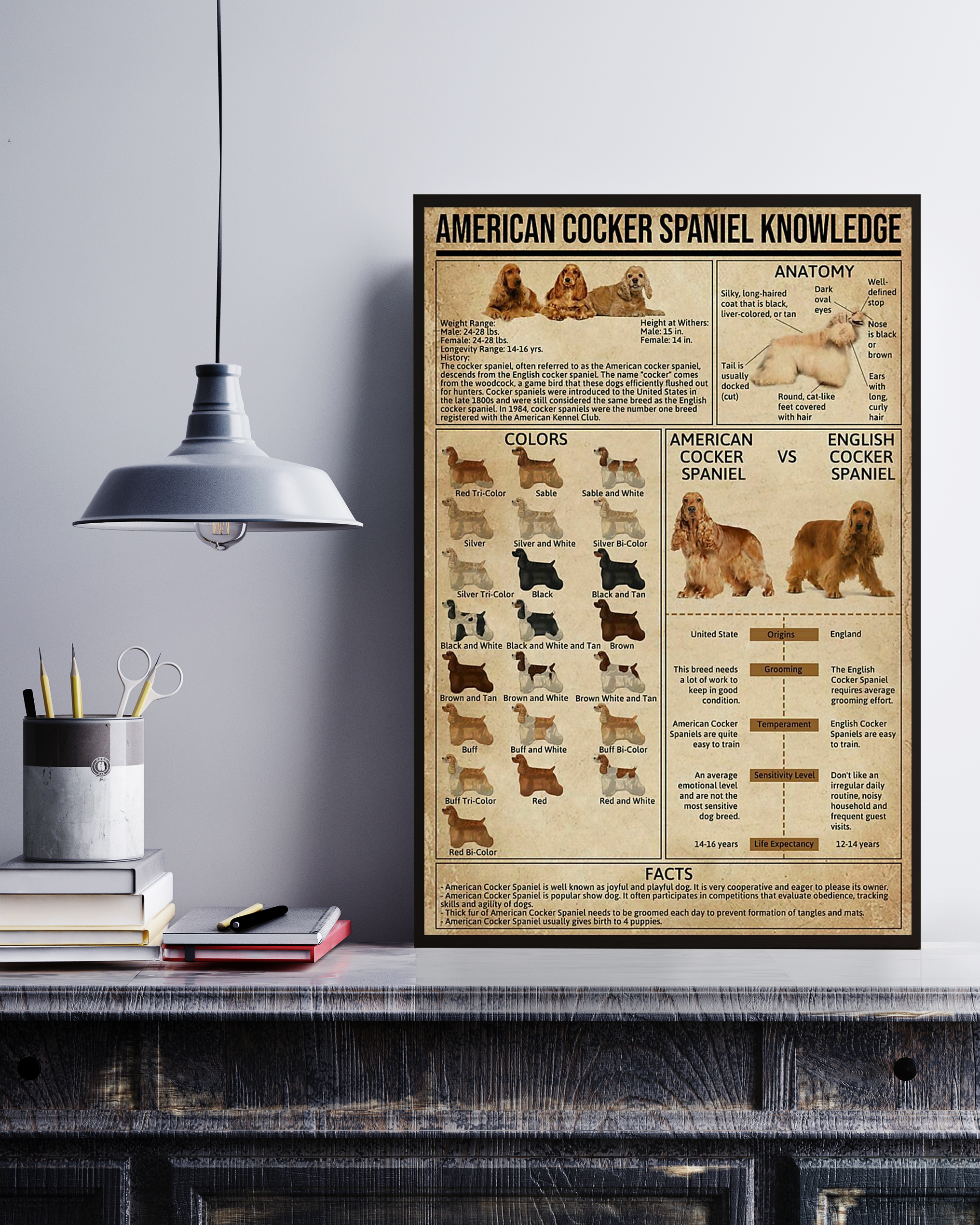 American Cocker Spaniel Poster Portrait Knowledge Poster No Frame